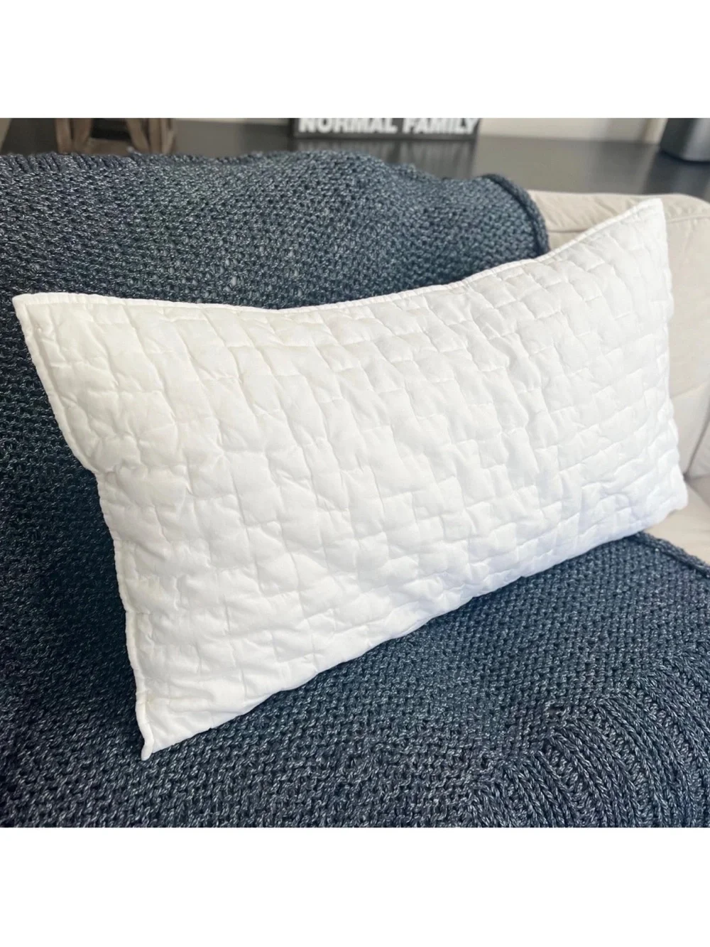 1 Pottery Barn Bliss Handcrafted KING Quilted Pillow Sham White Cotton Linen EUC